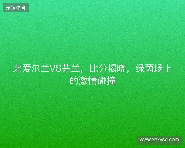 北爱尔兰VS芬兰，比分揭晓，绿茵场上的激情碰撞