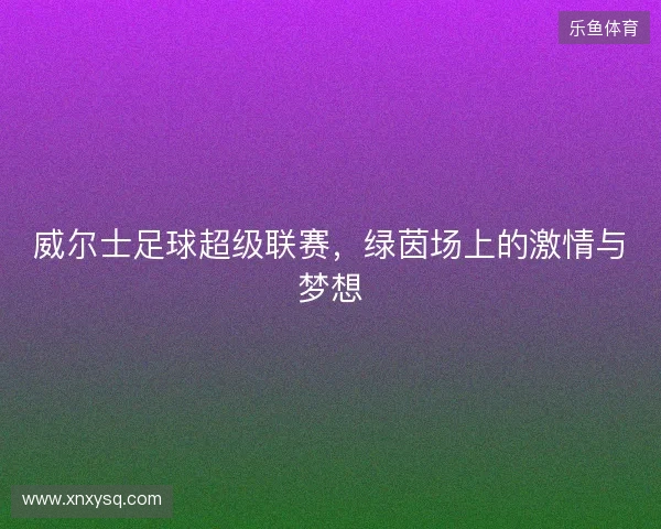 威尔士足球超级联赛,绿茵场上的激情与梦想 威尔士足球超级联赛,绿茵场上的激情与梦想